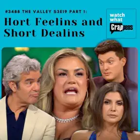 #3488 The Valley S3E19 Part One: Hort Feelins and Short Dealins artwork