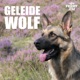 Geleidewolf