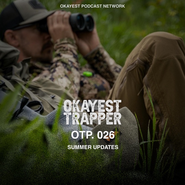 Summer Updates photo