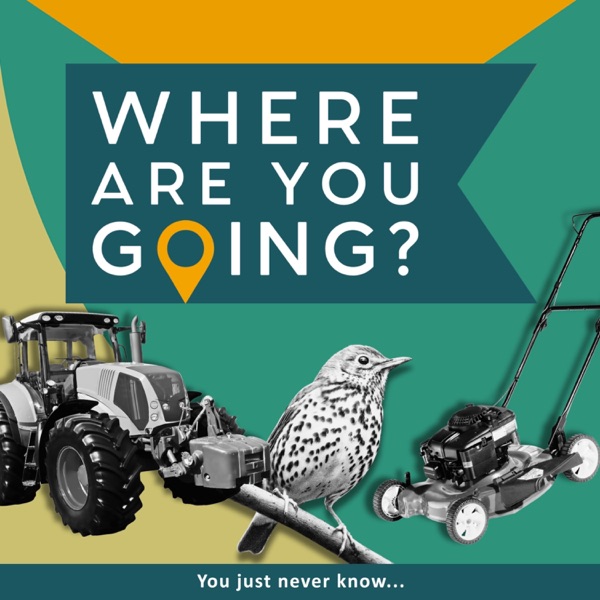 A tractor a lawn mower and a song thrush photo