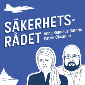 Säkerhetsrådet