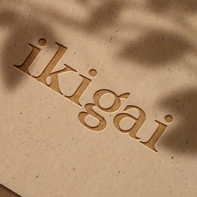 L'Éveil de votre Ikigaï - Jim Winter Podcast L'Éveil de votre Ikigaï - Jim Winter Podcast
