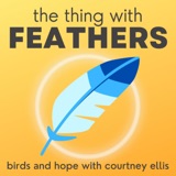 53: Renaming the birds with Andrew Walsh