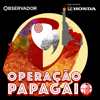 Operação Papagaio - Observador