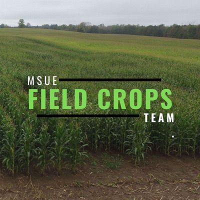 Michigan Field Crops:MSUE Field Crops Team