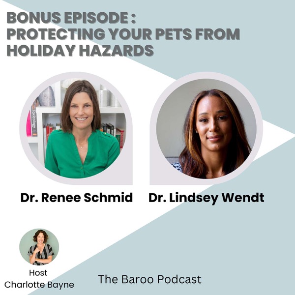 Bonus Episode : Protecting Your Pets from Holiday Hazards: A Comprehensive Guide with Veterinary Toxicologist Dr. Renee Schmid photo