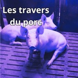 [TEASER] Les travers du porc