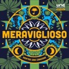 Meraviglioso – Dentro una Canzone