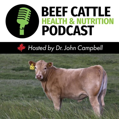 The Beef Cattle Health and Nutrition Podcast