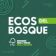 Ecos del Bosque