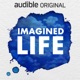 Imagined Life