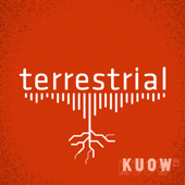 terrestrial