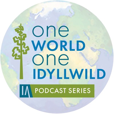 One World. One Idyllwild. The Series