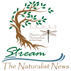 Stream: Naturalist News