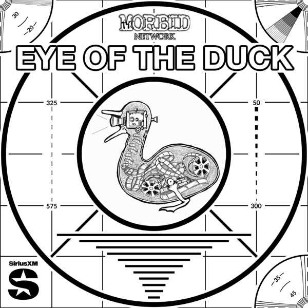 Eye of the Duck Image