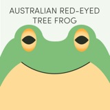 Australian Red-Eyed Tree Frog | Week of April 28th