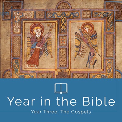 Year in the Bible