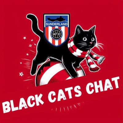 Black Cats Chat Black Cats Chat