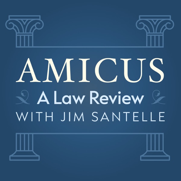Amicus: A Law Review Image