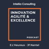 Innovation, Agilité et Excellence - Eric L'Heureux - Jean-François Nantel