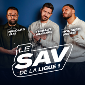 Le SAV de la Ligue 1 artwork