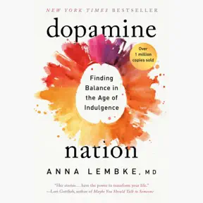 Dopamine Nation Summary | Anna Lembke, MD artwork