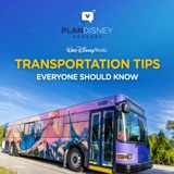Walt Disney World Transportation