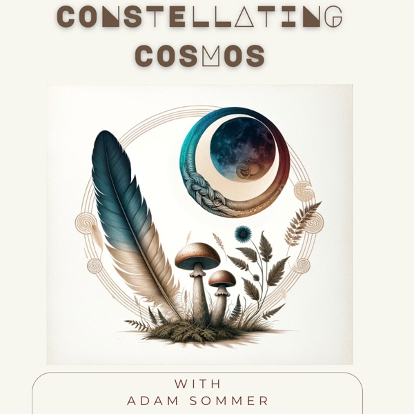 Constellating Cosmos (an astrological lens) image
