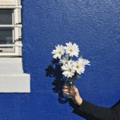 畅所欲言「原创作品」「深夜电台」分享生活