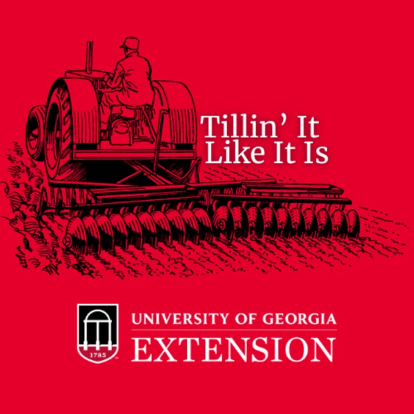 Tillin' It Like It Is: Agriculture and Community Development 