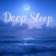 Sleep Reset