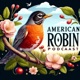 American Robin