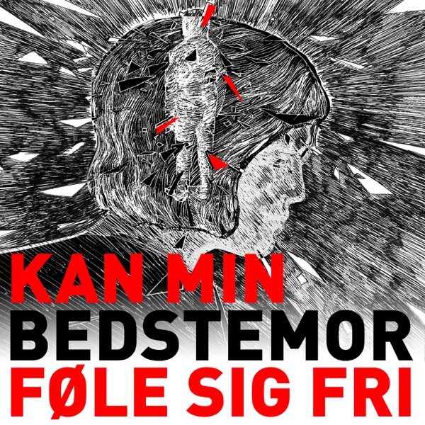 1:6 Kan min bedstemor føle sig fri - Den sidste brik