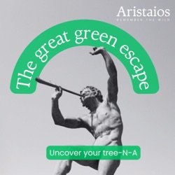  The great green escape by Aristaios