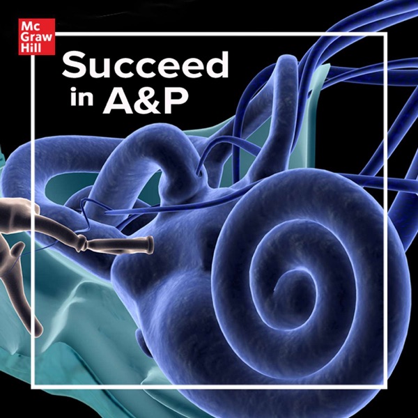Succeed In A&P