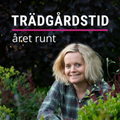 Trädgårdstid året runt