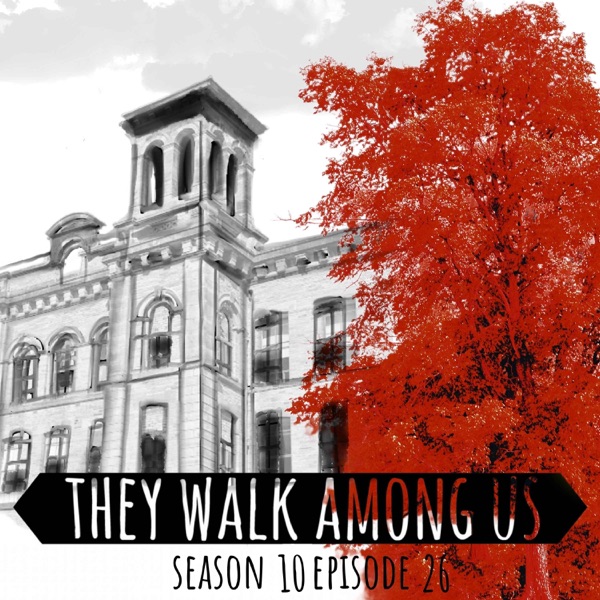 Hidden In Plain Sight / Mary Gregson / Ian Lowther photo