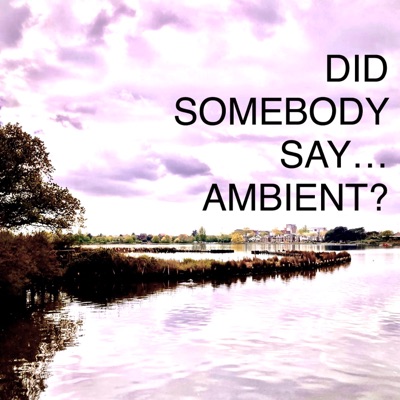 Did Somebody Say…Ambient?