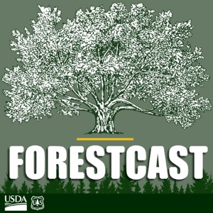 Forestcast