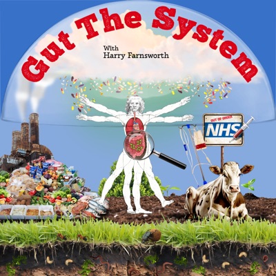 Gut the System with Harry Farnsworth