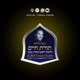 Torah 56 - R' Shmuel Braun