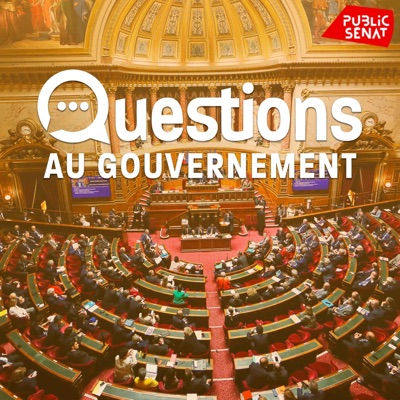 Questions au Gouvernement