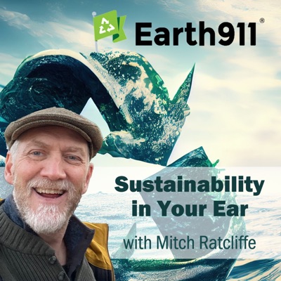 Sustainability In Your Ear Sustainability In Your Ear