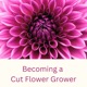Becoming a Cut Flower Grower 