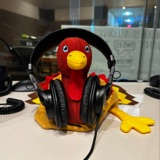 🦃 Wild Turkeys, Part 1 [re-air]