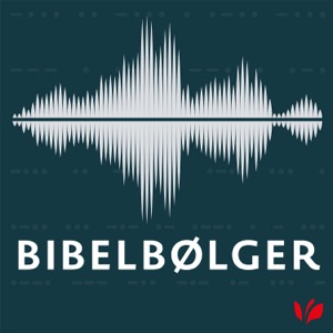 Bibelbølger