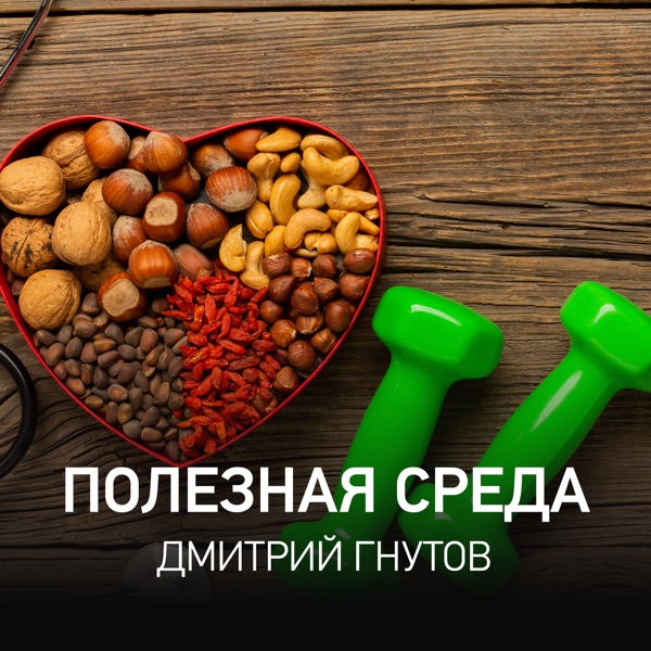 Полезная среда | Дмитрий Гнутов