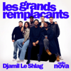 Les grands remplaçants - Radio Nova