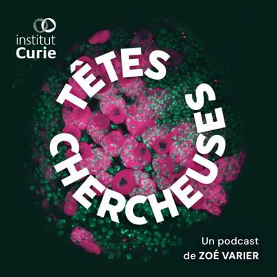 Têtes Chercheuses