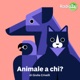 Animale a chi?